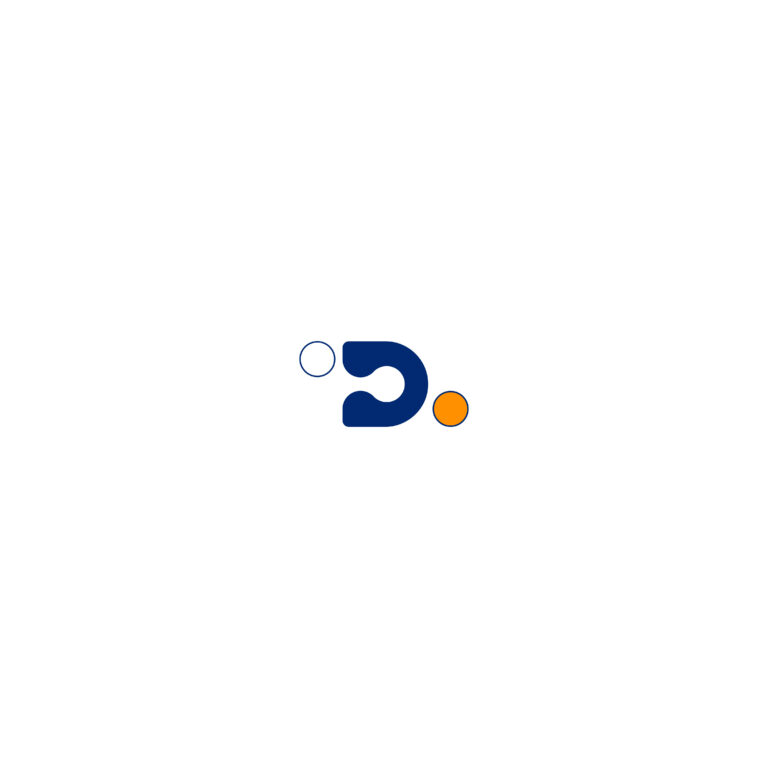LOGO DCIDE_déclinaison couleur